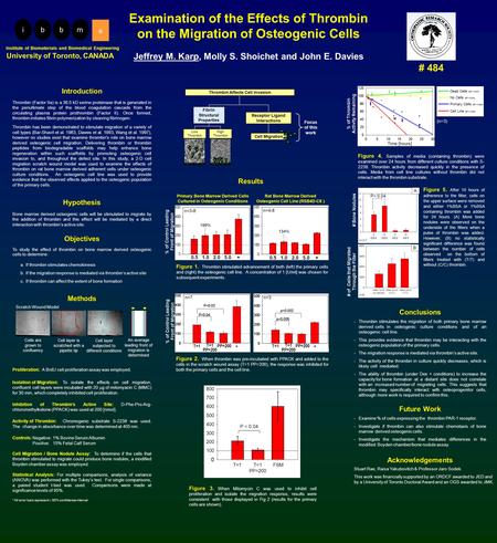 After 10 hr (w/ serum) After 24 hr (C/C) After 24 hr (T/T) B -T +DEX +T +DEX -T -DEX +T -DEX Examination of the Effects of Thrombin on the Migration of.