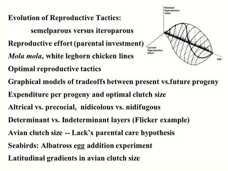 Evolution of Reproductive Tactics: