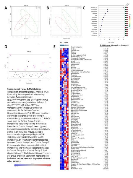 Fold Change (Group 2 vs. Group 1) Grp 1 Grp 2 ABC DE Supplemental Figure 1. Metabolomic comparison of control groups. Analysis (PCA) illustrating the unsupervised.