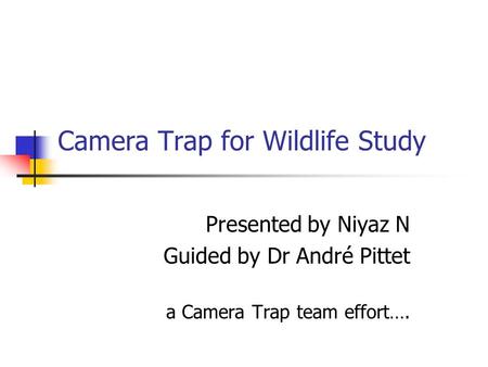 Camera Trap for Wildlife Study Presented by Niyaz N Guided by Dr André Pittet a Camera Trap team effort….