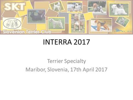 INTERRA 2017 Terrier Specialty Maribor, Slovenia, 17th April 2017.