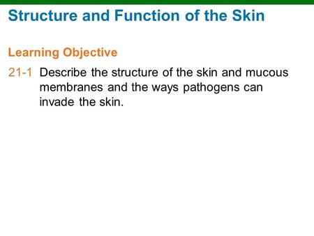 Structure and Function of the Skin