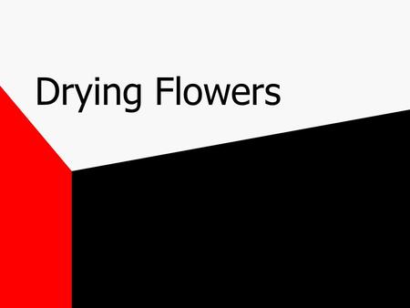 Drying Flowers. Dried Flowers Often sold to customers desiring a permanent arrangement.