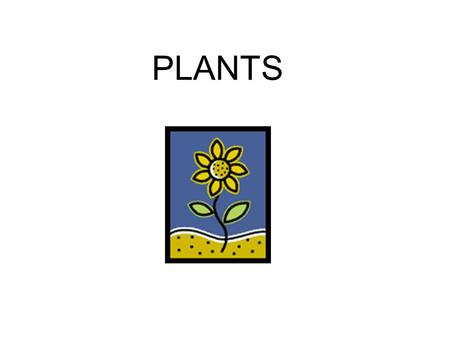 PLANTS. Characteristics of Plants Multi-cellular Non-mobile Cell walls are composed of cellulose Contain chloroplast with chlorophyll Photosynthetic Autotroph.