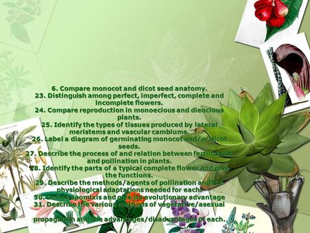 6. Compare monocot and dicot seed anatomy. 23