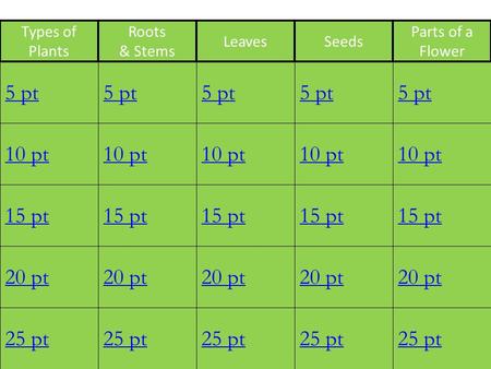 1 10 pt 15 pt 20 pt 25 pt 5 pt 10 pt 15 pt 20 pt 25 pt 5 pt 10 pt 15 pt 20 pt 25 pt 5 pt 10 pt 15 pt 20 pt 25 pt 5 pt 10 pt 15 pt 20 pt 25 pt 5 pt Types.