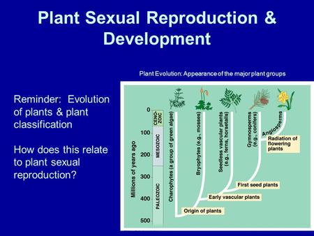 Plant Sexual Reproduction & Development