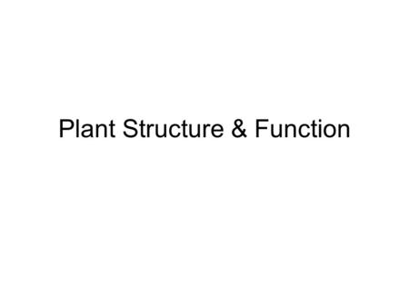 Plant Structure & Function