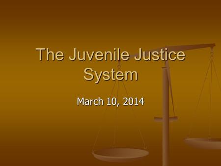 The Juvenile Justice System