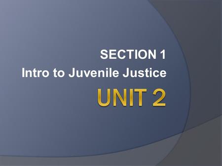 SECTION 1 Intro to Juvenile Justice