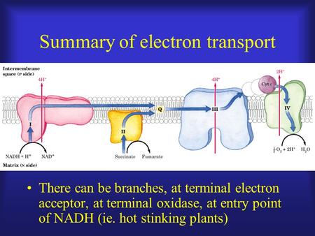 Summary of electron transport