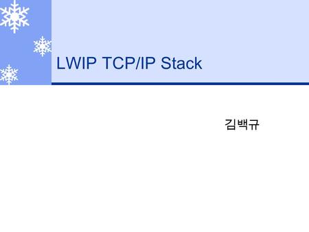 LWIP TCP/IP Stack 김백규.