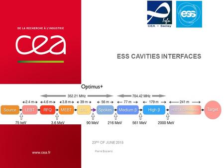 ESS cavities interfaces