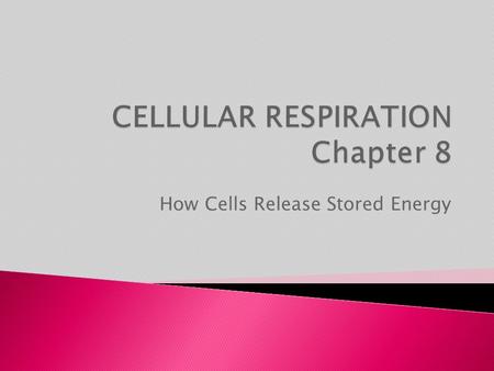 How Cells Release Stored Energy.  More than 100 mitochondrial disorders are known  Friedreich’s ataxia, caused by a mutant gene, results in loss of.