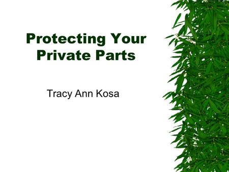 Protecting Your Private Parts Tracy Ann Kosa. Protecting Your Private Parts TASK Meeting, 27 February 2008 Objectives  Terminology  Privacy & Security.