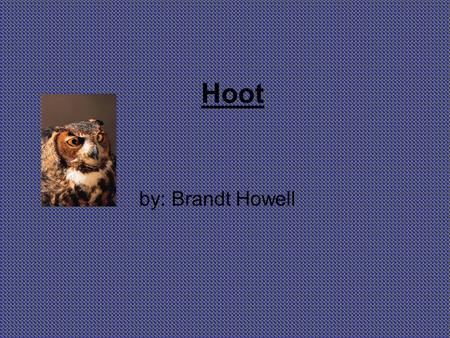 Hoot by: Brandt Howell.