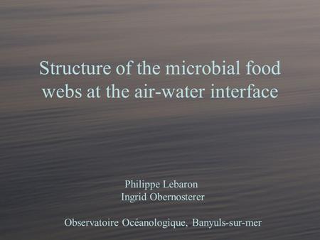 Structure of the microbial food webs at the air-water interface Philippe Lebaron Ingrid Obernosterer Observatoire Océanologique, Banyuls-sur-mer.