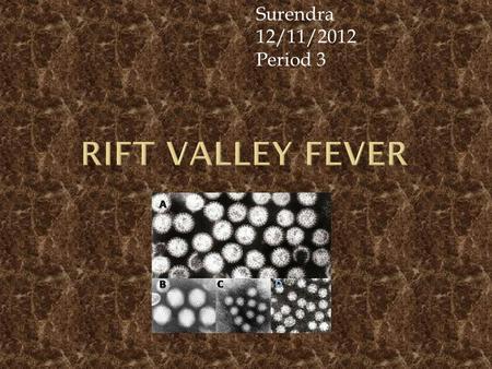 Surendra 12/11/2012 Period 3 Symptoms  Fever  Headaches  Seizures  Dizziness  Poor vision  spages/rvf/rvf_qa.htm.