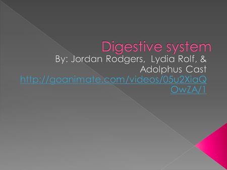  Your digestive system started working even before you took the first bite of your pizza. And the digestive system will be busy at work on your chewed-up.