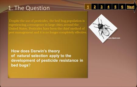 1. The Question Despite the use of pesticides, the bed bug population is experiencing a resurgence in large cities around the United States. Pesticides.