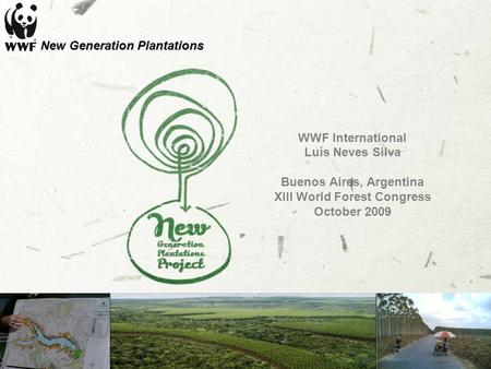 WWF International Luís Neves Silva Buenos Aires, Argentina XIII World Forest Congress October 2009 New Generation Plantations.