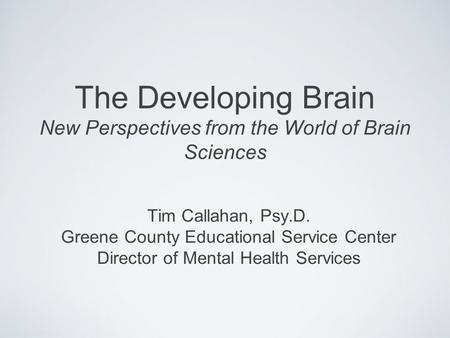 The Developing Brain New Perspectives from the World of Brain Sciences