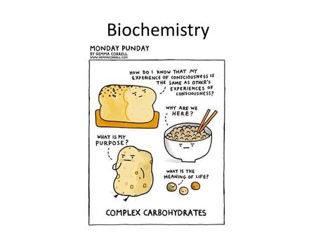 Biochemistry. Key Concept: Polarity If a molecule is created (covalent bonds), the electrons may or may not be evenly distributed – Evenly distributed: