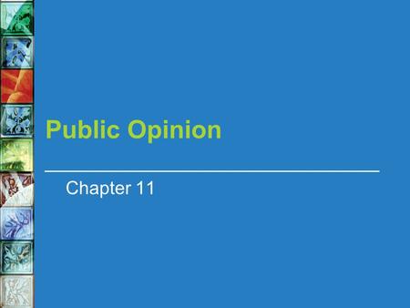 Public Opinion Chapter 11.