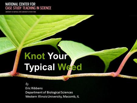 By Eric Ribbens Department of Biological Sciences Western Illinois University, Macomb, IL Knot Your Typical Weed.