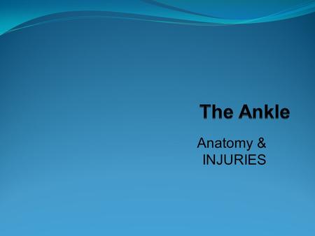 Anatomy & INJURIES. Tibia, Fibula, Talus A Gliding Joint Sometimes refered to it as a Hinge Joint Form the “Ankle Mortise” Very stable joint Most injured.