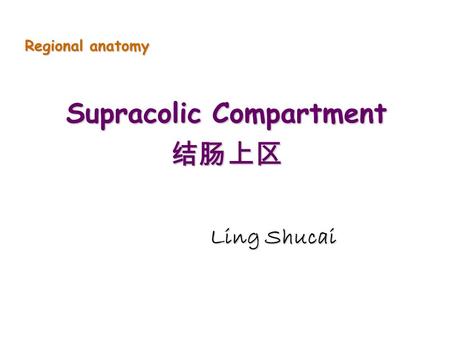 Supracolic Compartment 结肠上区