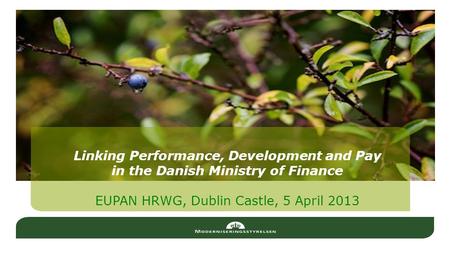 Linking Performance, Development and Pay in the Danish Ministry of Finance EUPAN HRWG, Dublin Castle, 5 April 2013.