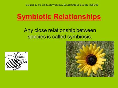 Symbiotic Relationships