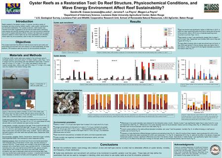 Oyster Reefs as a Restoration Tool: Do Reef Structure, Physicochemical Conditions, and Wave Energy Environment Affect Reef Sustainability? Sandra M. Casas.