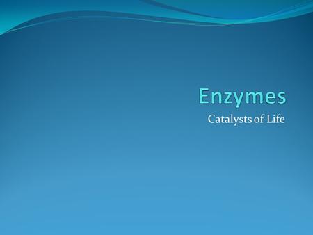 Catalysts of Life. Review of Chemical Reactions A chemical reaction is a process that changes, or transforms, one set of chemicals into another Reactants.