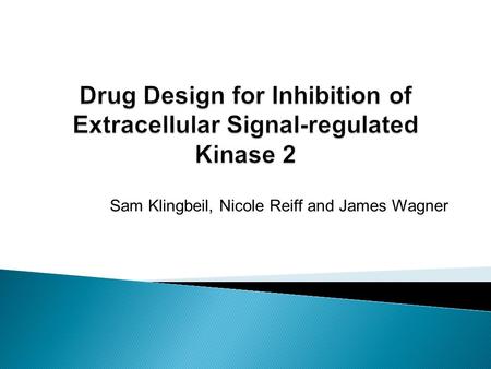 Sam Klingbeil, Nicole Reiff and James Wagner.  ERK2 is part of a signaling cascade that results in neuronal differentation, mitogenesis, oncogenic transformation.