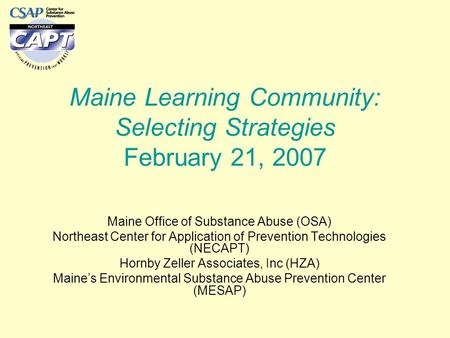 Maine Learning Community: Selecting Strategies February 21, 2007