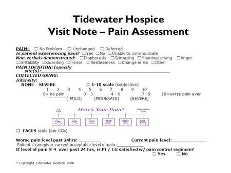 Tidewater Hospice Visit Note – Pain Assessment PAIN:  No Problem  Unchanged  Deferred Is patient experiencing pain?  Yes  No  Unable to communicate.