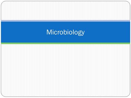 Microbiology. General Structure of a Bacteria Cell Plasmid DNA: small circular DNA that is separate from the rest of the bacteria’s genome Nucleioid DNA: