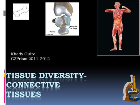 Khady Guiro C2Prism 2011-2012. Body Tissues  A tissue is a group of cells that have similar structure which function together as a unit.  A nonliving.