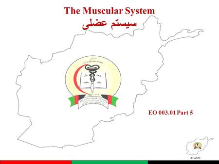 AFAMS The Muscular System سیستم عضلی EO 003.01 Part 5.