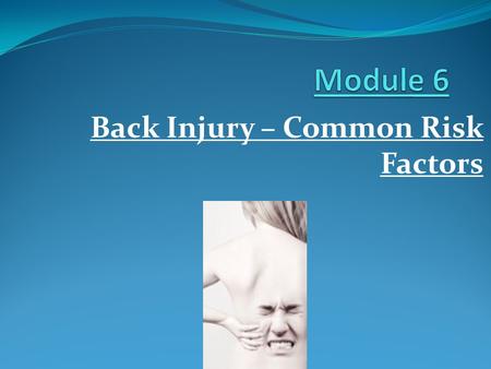 Back Injury – Common Risk Factors. Factors predisposing for back injury Individual Risk Factors Inherent Risk Factors Occupational Risk Factors.