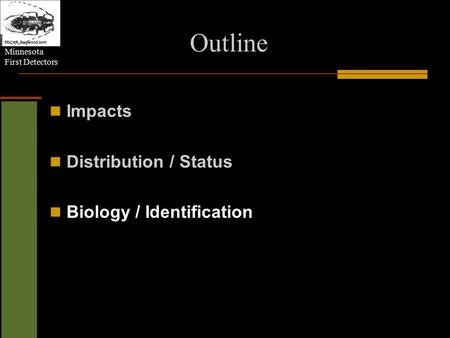 Minnesota First Detectors Outline Impacts Distribution / Status Biology / Identification PDCNR, Bugwood.com.