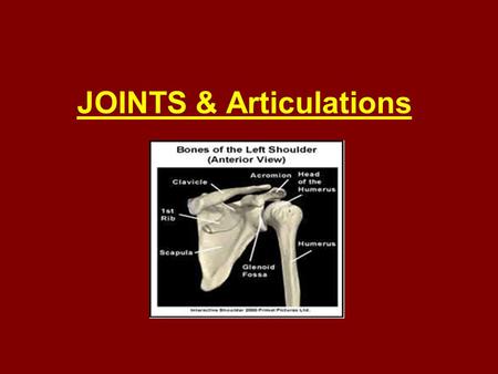 JOINTS & Articulations. Joints occur where 2 bones meet. They may: join two bones with as little flexibility as possible join two bones with a little.