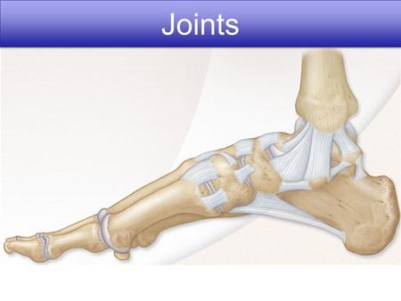 Joints. Copyright © 2010 Pearson Education, Inc. Figure 8.1 Fibrous joints. Dense fibrous connective tissue Suture line Root of tooth Socket of alveolar.