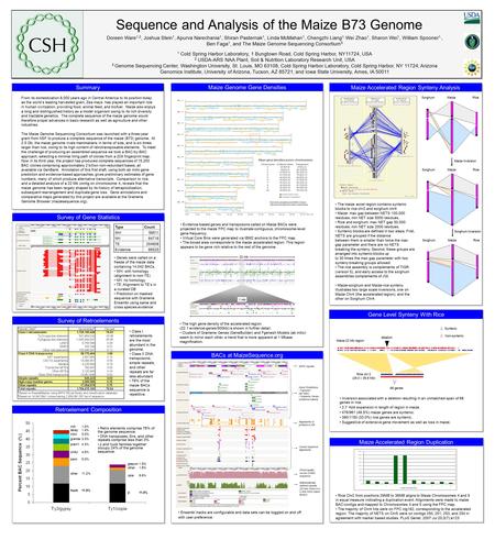 Sequence and Analysis of the Maize B73 Genome Doreen Ware 1,2, Joshua Stein 1, Apurva Narechania 1, Shiran Pasternak 1, Linda McMahan 1, Chengzhi Liang.