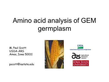 Amino acid analysis of GEM germplasm M. Paul Scott USDA-ARS Ames, Iowa 50011