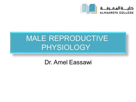 MALE REPRODUCTIVE PHYSIOLOGY Dr. Amel Eassawi. OBJECTIVES  Describe the physiological functions of the major components of the male reproductive system.