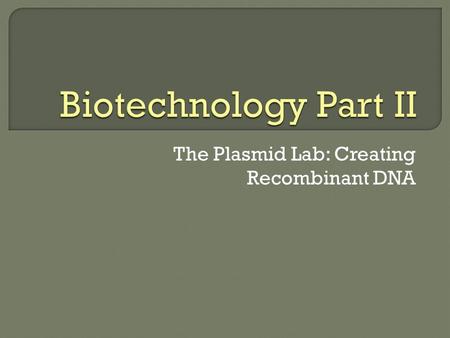 The Plasmid Lab: Creating Recombinant DNA.  Circular piece of DNA  Replicates independently  Used as a VECTOR.