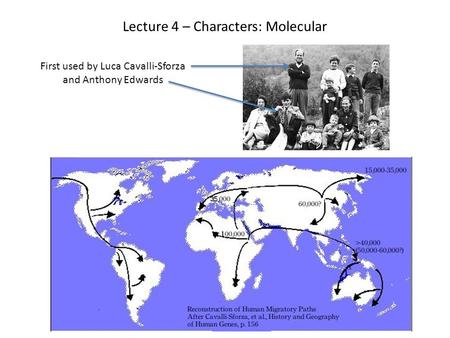 Lecture 4 – Characters: Molecular First used by Luca Cavalli-Sforza and Anthony Edwards.